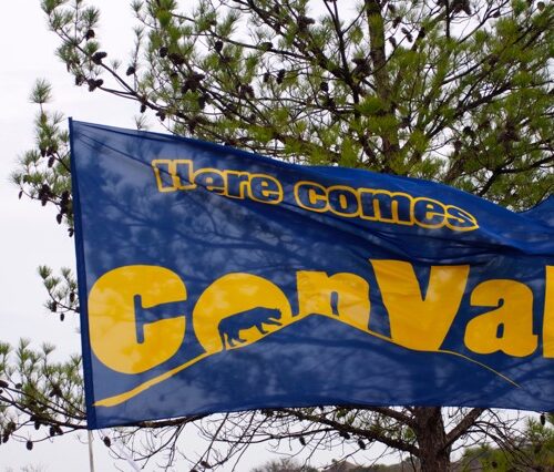 Team Banners and Flags, Field Runner, field runners, Cheer Flag, cheer flags, Cheerleader Flag, cheerleader flags, battle flag, battle flags, spirit flag, spirit flags, team flag, team flags, running flag, running flags, custom flag, custom flags