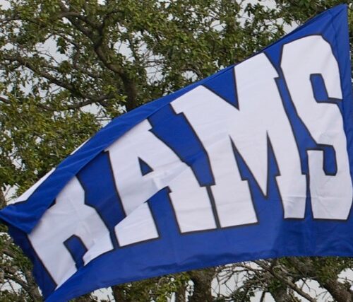 Team Banners and Flags, Field Runner, field runners, Cheer Flag, cheer flags, Cheerleader Flag, cheerleader flags, battle flag, battle flags, spirit flag, spirit flags, team flag, team flags, running flag, running flags, custom flag, custom flags