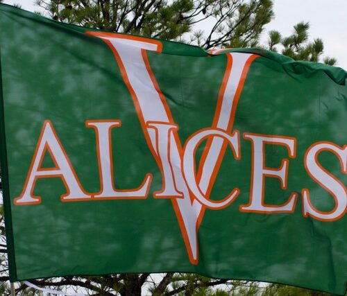 Team Banners and Flags, Field Runner, field runners, Cheer Flag, cheer flags, Cheerleader Flag, cheerleader flags, battle flag, battle flags, spirit flag, spirit flags, team flag, team flags, running flag, running flags, custom flag, custom flags