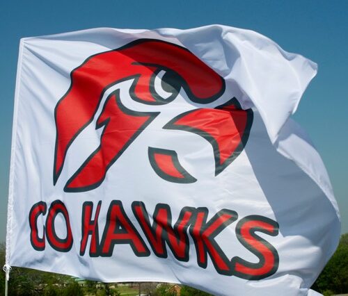 Team Banners and Flags, Field Runner, field runners, Cheer Flag, cheer flags, Cheerleader Flag, cheerleader flags, battle flag, battle flags, spirit flag, spirit flags, team flag, team flags, running flag, running flags, custom flag, custom flags