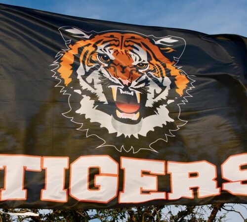 Team Banners and Flags, Field Runner, field runners, Cheer Flag, cheer flags, Cheerleader Flag, cheerleader flags, battle flag, battle flags, spirit flag, spirit flags, team flag, team flags, running flag, running flags, custom flag, custom flags