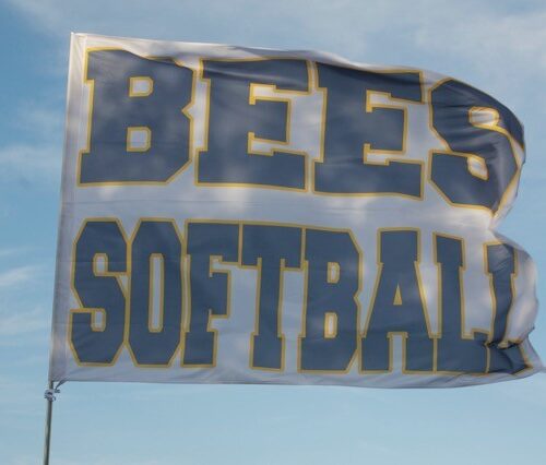 Team Banners and Flags, Field Runner, field runners, Cheer Flag, cheer flags, Cheerleader Flag, cheerleader flags, battle flag, battle flags, spirit flag, spirit flags, team flag, team flags, running flag, running flags, custom flag, custom flags