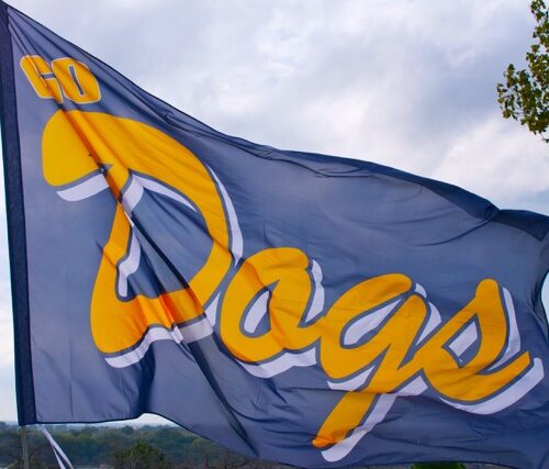 Team Banners and Flags, Field Runner, field runners, Cheer Flag, cheer flags, Cheerleader Flag, cheerleader flags, battle flag, battle flags, spirit flag, spirit flags, team flag, team flags, running flag, running flags, custom flag, custom flags
