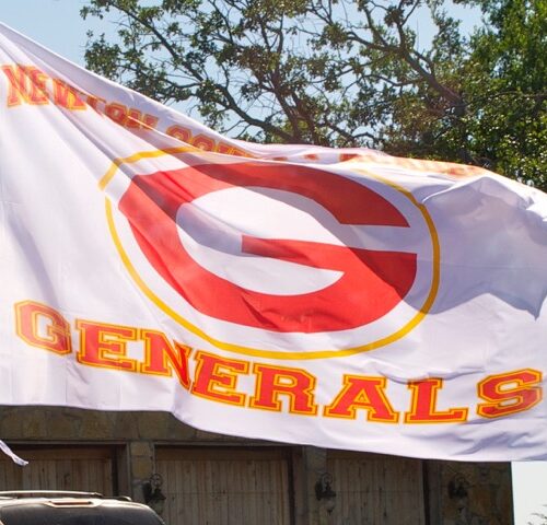 Team Banners and Flags, Field Runner, field runners, Cheer Flag, cheer flags, Cheerleader Flag, cheerleader flags, battle flag, battle flags, spirit flag, spirit flags, team flag, team flags, running flag, running flags, custom flag, custom flags