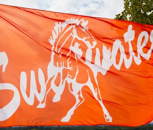 Team Banners and Flags, Field Runner, field runners, Cheer Flag, cheer flags, Cheerleader Flag, cheerleader flags, battle flag, battle flags, spirit flag, spirit flags, team flag, team flags, running flag, running flags, custom flag, custom flags