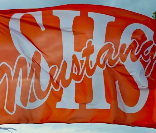 Team Banners and Flags, Field Runner, field runners, Cheer Flag, cheer flags, Cheerleader Flag, cheerleader flags, battle flag, battle flags, spirit flag, spirit flags, team flag, team flags, running flag, running flags, custom flag, custom flags