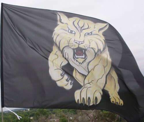 Team Banners and Flags, Runner, field runners, Cheer Flag, cheer flags, Cheerleader Flag, cheerleader flags, battle flag, battle flags, spirit flag, spirit flags, team flag, team flags, running flag, running flags, custom flag, custom flags