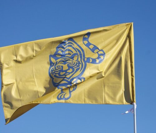 3'x5' Rectangle Shaped Stadium Flags Team Banners and Flags