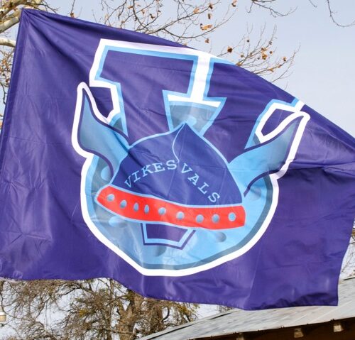 Team Banners and Flags, Field Runner, field runners, Cheer Flag, cheer flags, Cheerleader Flag, cheerleader flags, battle flag, battle flags, spirit flag, spirit flags, team flag, team flags, running flag, running flags, custom flag, custom flags