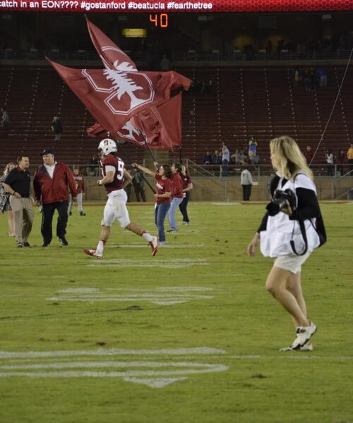Team Banners and Flags, Field Runner, field runners, Cheer Flag, cheer flags, Cheerleader Flag, cheerleader flags, battle flag, battle flags, spirit flag, spirit flags, team flag, team flags, running flag, running flags, custom flag, custom flags