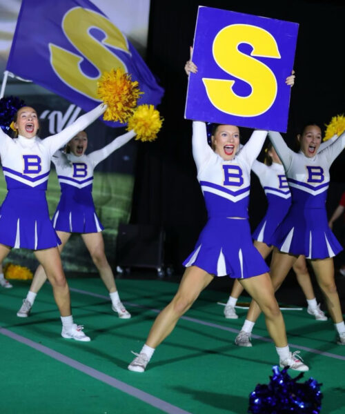 Alternative view of Custom Printed and Cut Cheer Signs